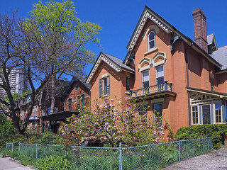 Victorian gothic style houses with magnolia tree in bloom