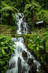 Fototapeta na wymiar Waterfall landscape. Beautiful hidden Jembong waterfall in tropical rainforest in Ambengan, Bali. Slow shutter speed, motion photography.
