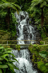 Waterfall landscape. Beautiful hidden Jembong waterfall in tropical rainforest in Ambengan, Bali. Fast shutter speed.