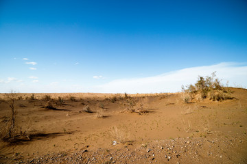 sand dunes in the desert