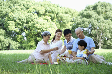 Happy family having picnic at the park