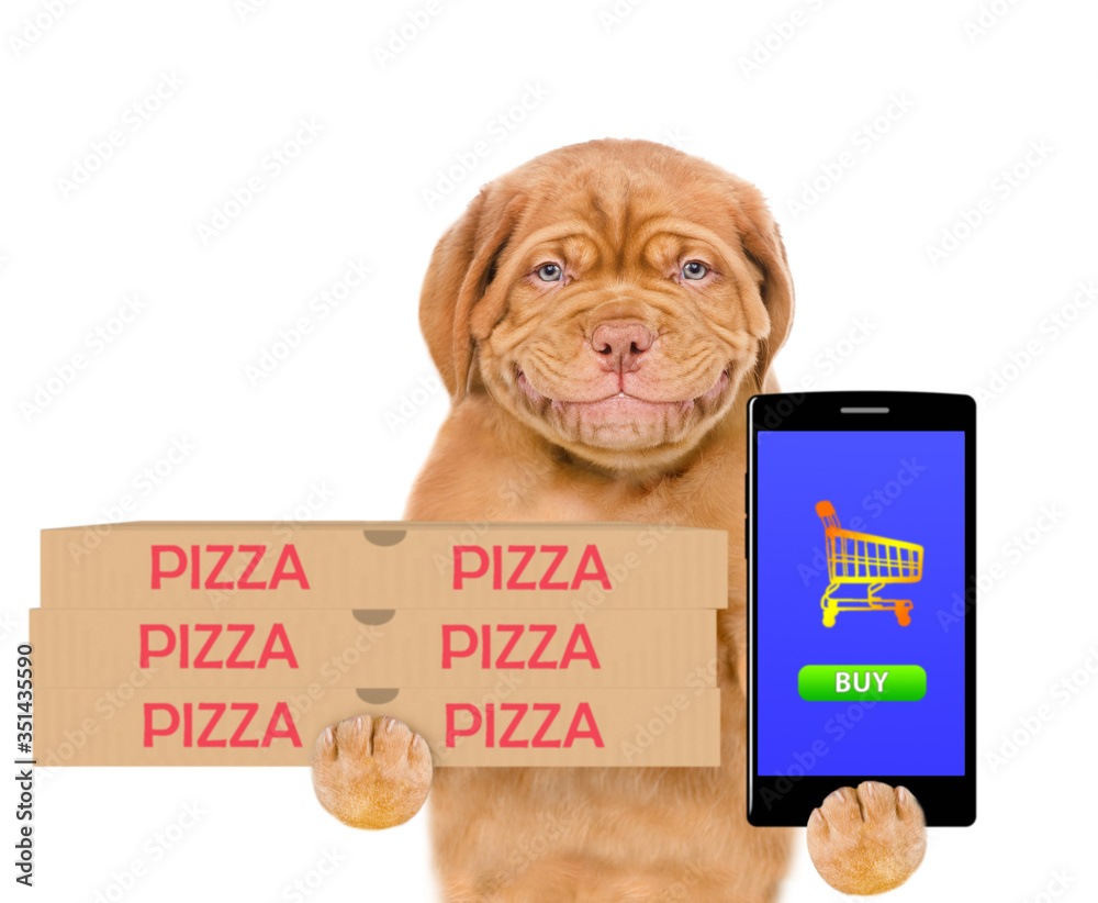 Poster smiling pizza delivery dog holds pizza boxes and shows empty screen of a smartphone. online shopping