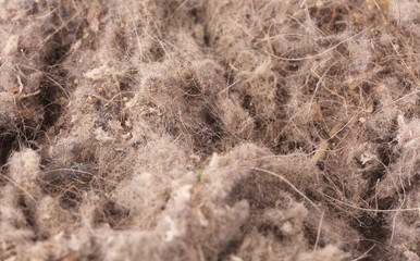 dust background texture