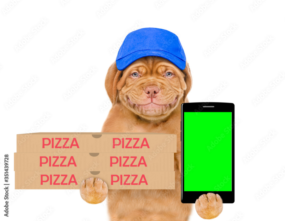Aufkleber smiling pizza delivery dog wearing blue cap holds pizza boxes and shows empty screen of a smartphone