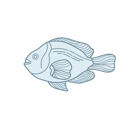 fish