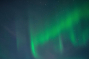 The northern lights on Lofoten island in Norway