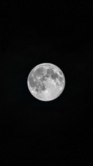 Naklejka na ściany i meble Full moon in the clear night sky