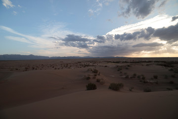 Sunset over the desert