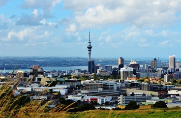 Fototapeta premium Stunning Panorama of Auckland City Center
