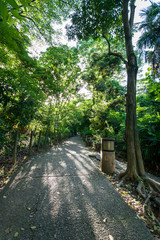 占春園（文京区大塚3丁目）