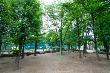竹早公園（文京区小石川）