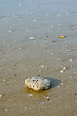 Sand Beach and Sea Water for Natural Background.