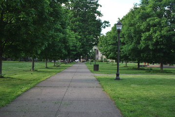 Fototapeta premium empty park