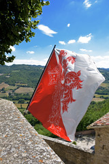 Bandiera di Montone