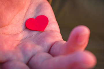 Heart in the palm of your hand