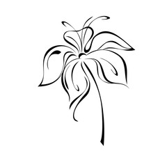 one unique stylized blooming flower on a short stalk without leaves in black lines on a white background