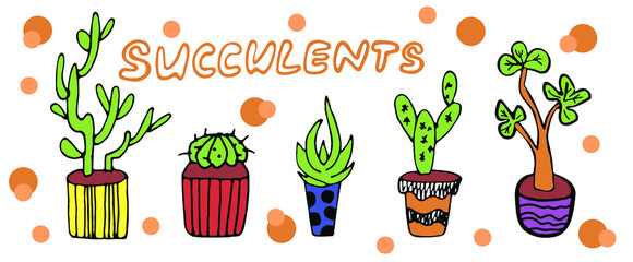 vector color set of succulents on a white background. ector set with succulents. potted succulents, adenium