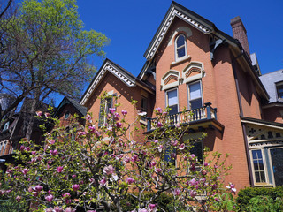 Victorian gothic style houses with magnolia tree in bloom