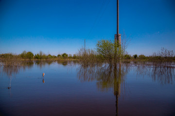 flooded water meadows in spring sunny day