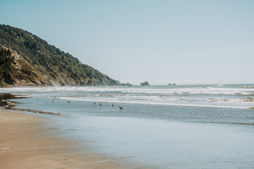 Rocky Foggy California / Oregon Coastline 