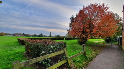 natura w czasie pandemii © Marcin