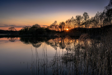 Reed lake with a reflective surface at sunset