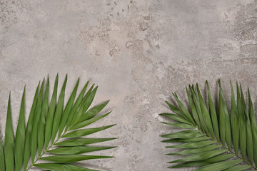 Tropical palm leaves on light gray textured background. Flat lay, top view, copy space. Summer background, nature. Creative minimal background with tropical leaves. Leaf pattern, floristic eco concept © Pavel Shcherbakov