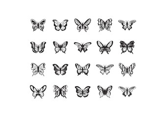 Fototapeta premium Collection of butterflies