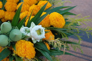 Flowers, stars, and lotus flowers glowing to pay respect to monks