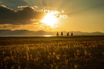 Horse Riding during sunset at Song Kul Lake, Kyrgyzstan