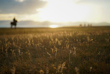 Grass during sunset with blur horse riding in the background at Song Kul Lake, Kyrgyzstan