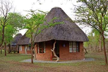 Fototapeta na wymiar Ndlovu camp. hlane national park swaziland