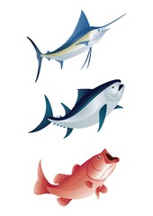 fishes