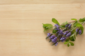 ラベンダー　ミント　木目背景  © tamayura39