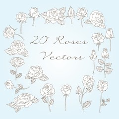 Collection of roses