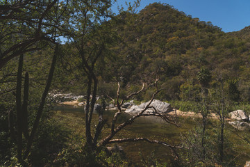 Beautiful Nature View Scene of 