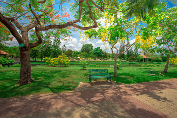 natural background of the green atmosphere in the park,with many beautifully decorated trees,plants for the public to come and relax with the family during the holidays