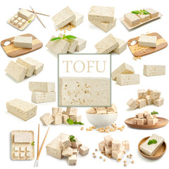 Set of tasty tofu cheese on white background