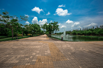 Fototapeta premium natural background of the green atmosphere in the park,with many beautifully decorated trees,plants for the public to come and relax with the family during the holidays