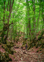 Monte Gennaro - The peak in the Monti Lucretili mountains, Lazio region, central Italy, with an elevation of 1,271 metres; it's the highest peak visible from Rome looking, located in province of Rome