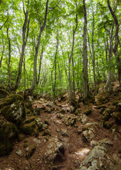 Obraz premium Monte Gennaro - The peak in the Monti Lucretili mountains, Lazio region, central Italy, with an elevation of 1,271 metres; it's the highest peak visible from Rome looking, located in province of Rome