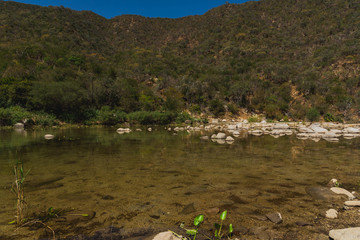 Beautiful Nature View Scene of 