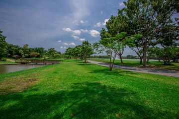 natural background of the green atmosphere in the park,with many beautifully decorated trees,plants for the public to come and relax with the family during the holidays