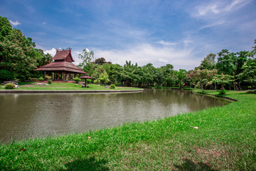 Obraz premium natural background of the green atmosphere in the park,with many beautifully decorated trees,plants for the public to come and relax with the family during the holidays