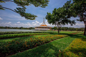 natural background of the green atmosphere in the park,with many beautifully decorated trees,plants for the public to come and relax with the family during the holidays