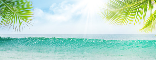 Fototapeta na wymiar Summer tropical sea with waves, palm leaves and blue sky
