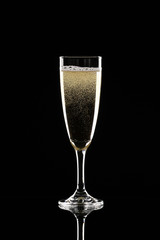 Glass of champagne on dark background