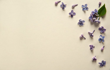 Flower composition. Border of flowers and green leaves of fragrant lilac (Syringa vulgaris)...
