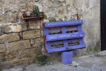 detail of a metropolitan planter built with a pallet in the historic center of Palermo in Italy
