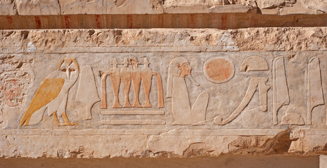 Hieroglyphic carvings on an ancient egyptian temple wall